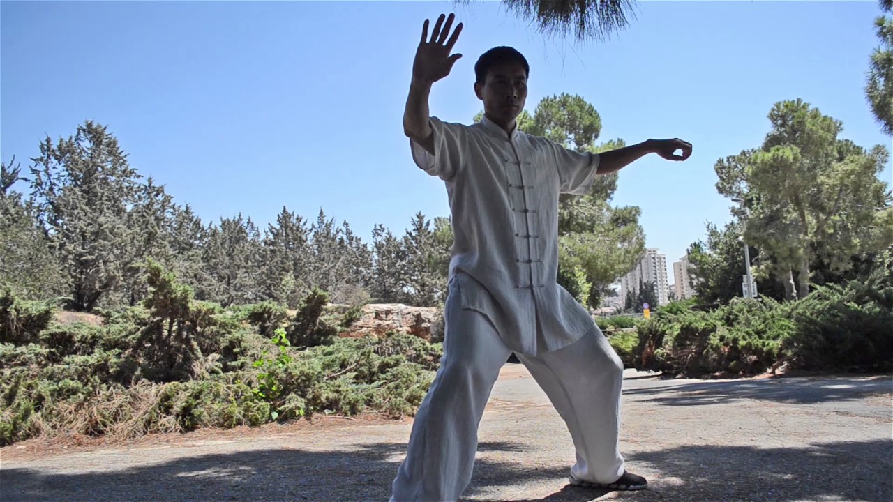 Master Chen Bing Israel Seminar Demonstration 2016