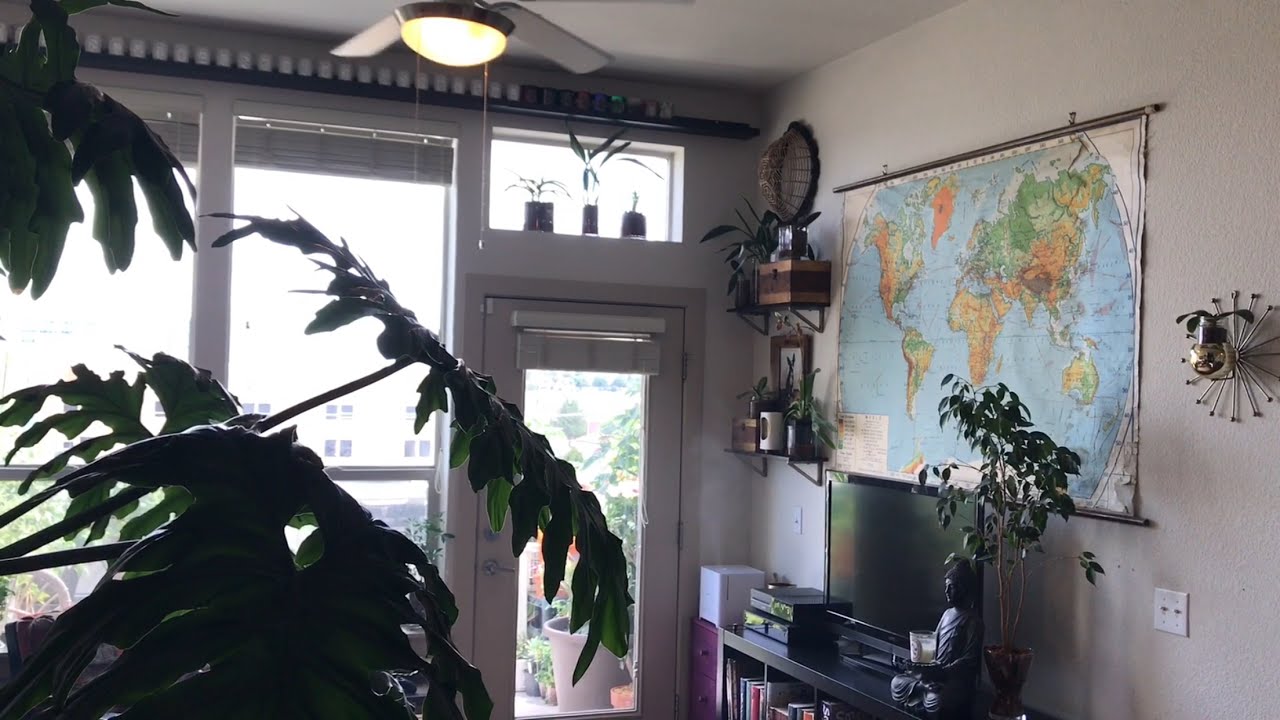 Increasing Humidity: Semi-Hydroponics