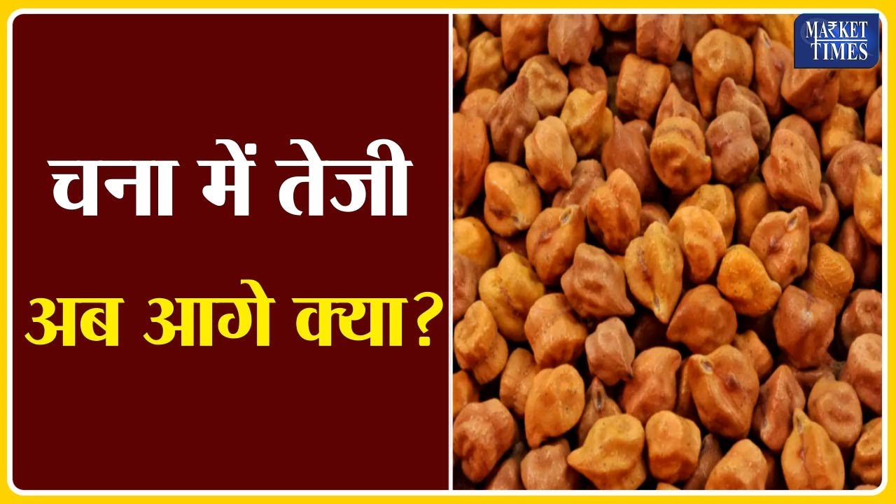 चना में तेजी -अब आगे क्या ? Market Times TV #chana #masoor
