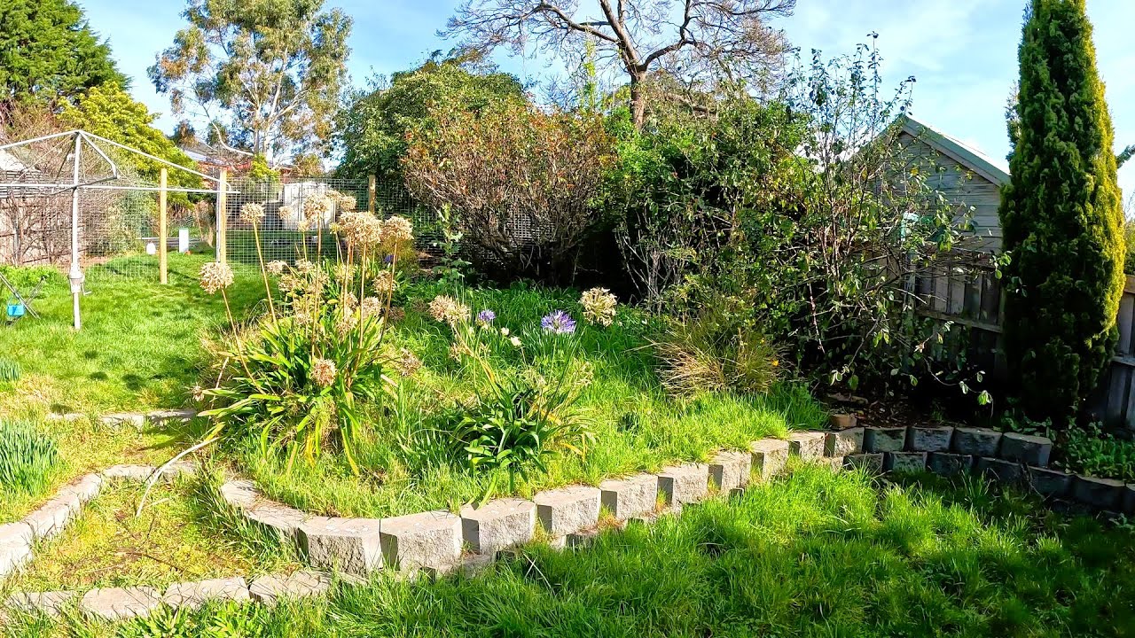 Crazy Garden Restoration | This Homeowner Really Needed Some Help