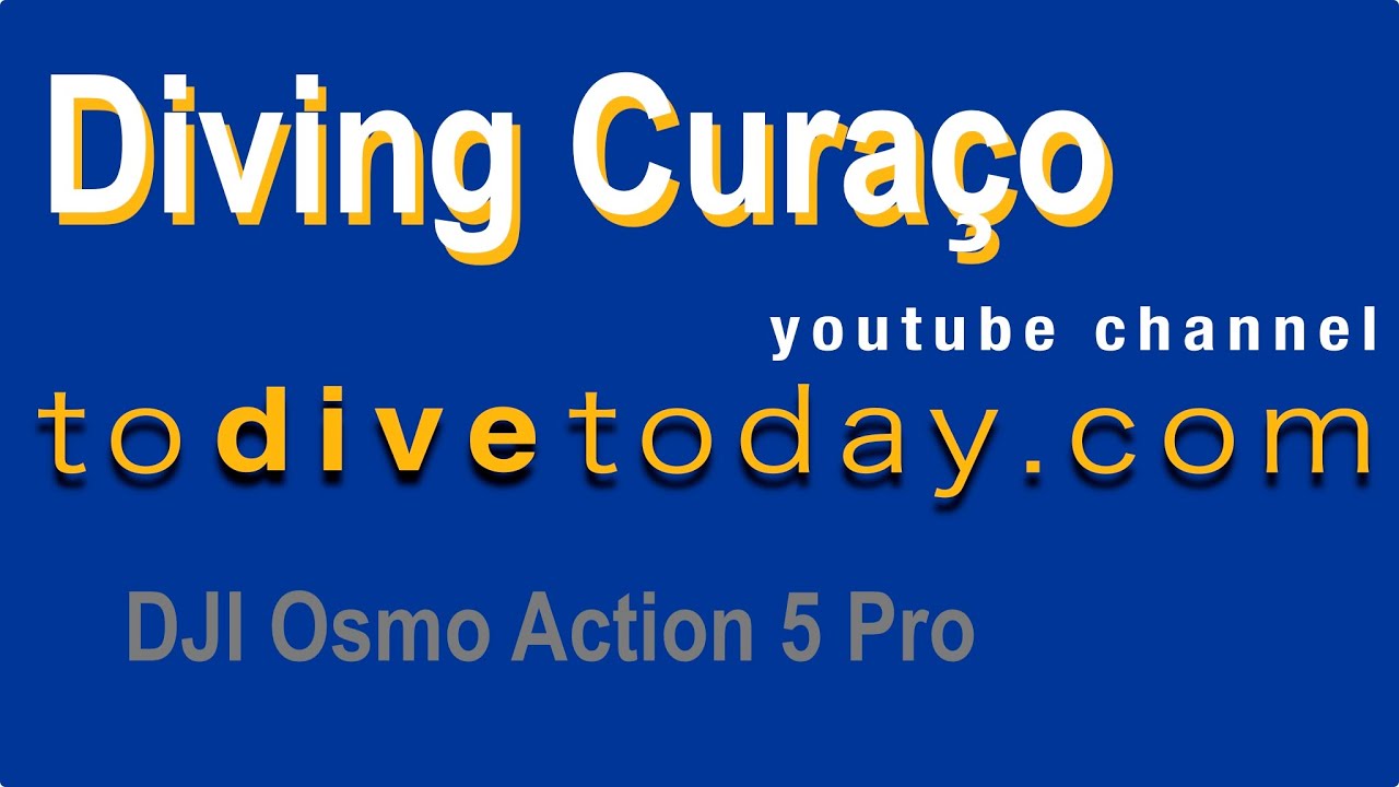 Diving Curaçao. 2025.03