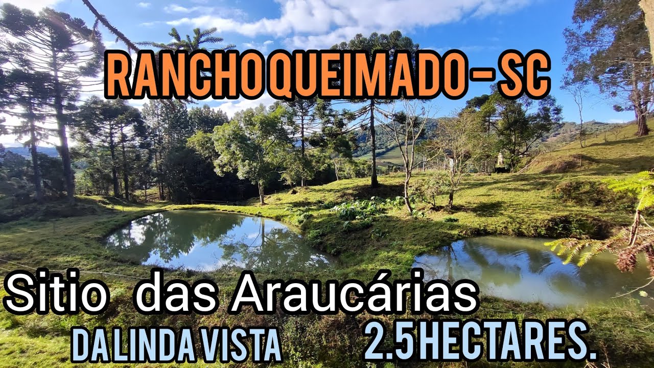Sitio Rancho Queimado - SC. Linda vista, riacho,  araucárias, Mato Francês/ Taquara....