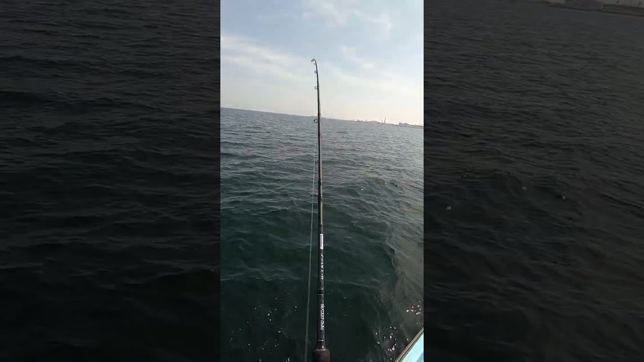 نهاية غير متوقعة 🤦🏾‍♂️#fishing #صيد 