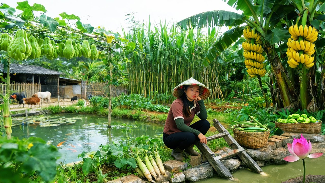 Harvest: Chayote, Okra, Bamboo Shoots, Sugarcane, Bananas – Sell At The Market – Cook, Raise Animals