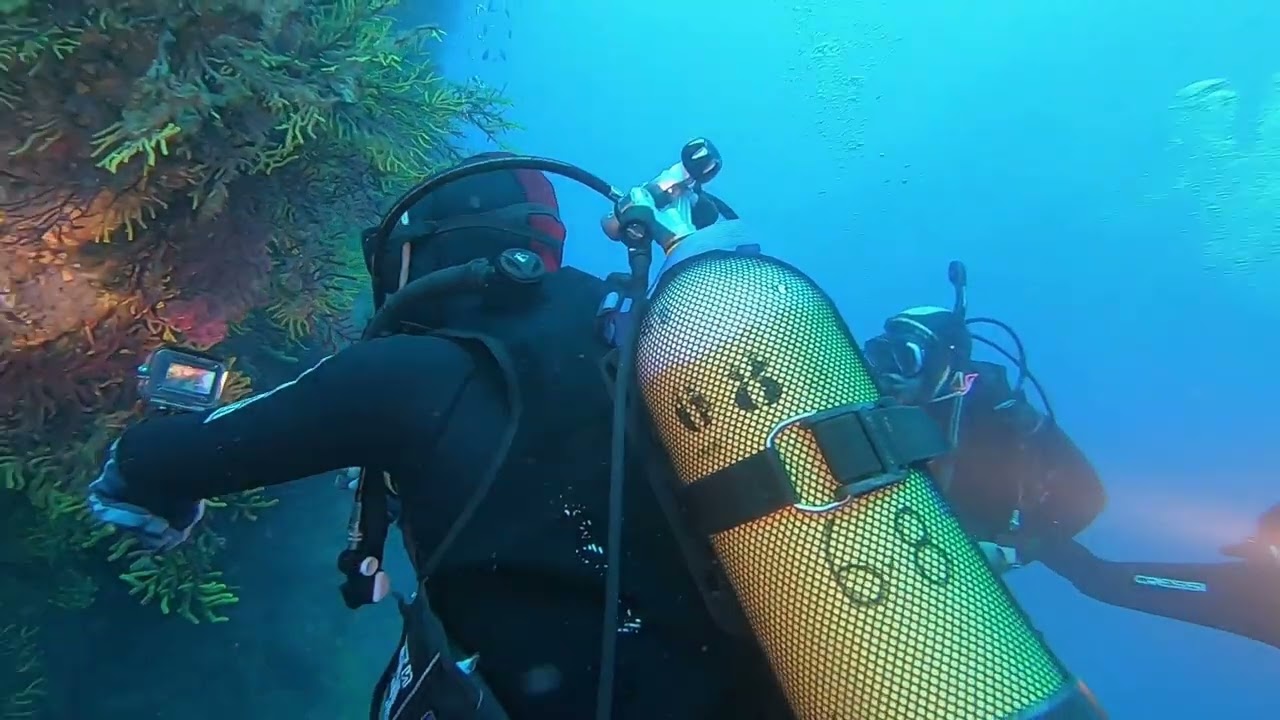 Montañas submarinas de la Costa Brava