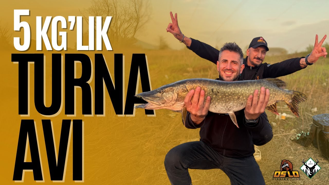 Düzce’de Turna Avı!