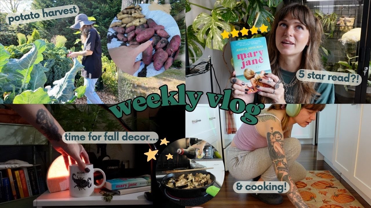 garden harvesting, baking, a new fave read, & a stormy week 🧺🥗🌩️📚