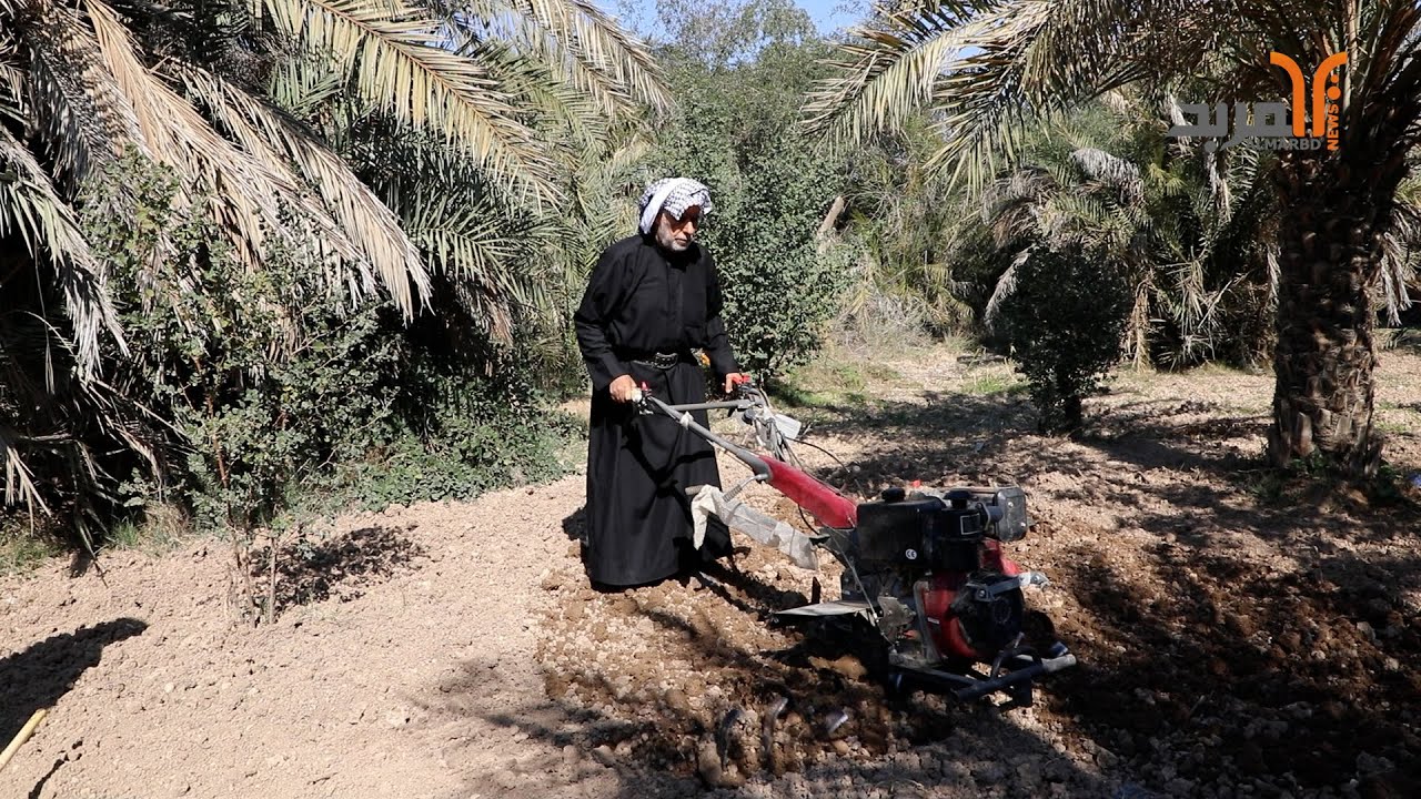 مناشدة من مزارع لمحافظ البصرة بعدم تجريف وتفتيت أرضه 