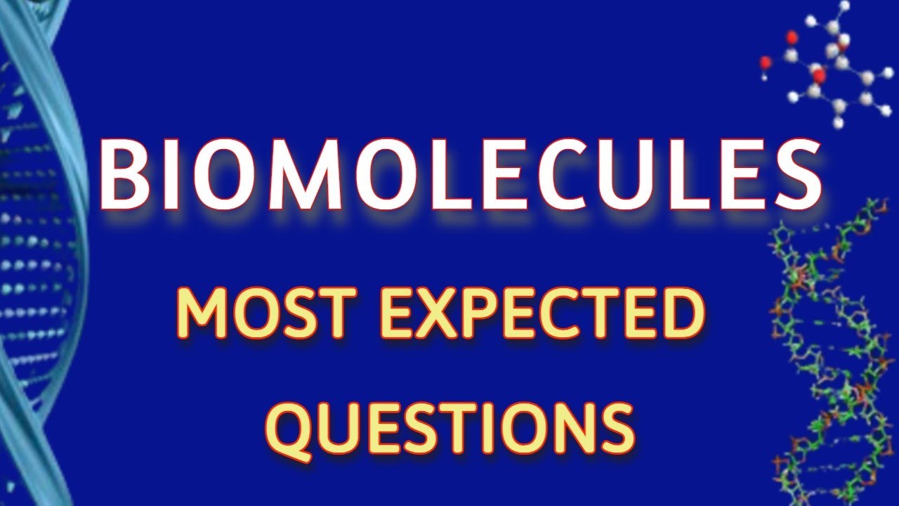 KCET || Biomolecules || most expected questions