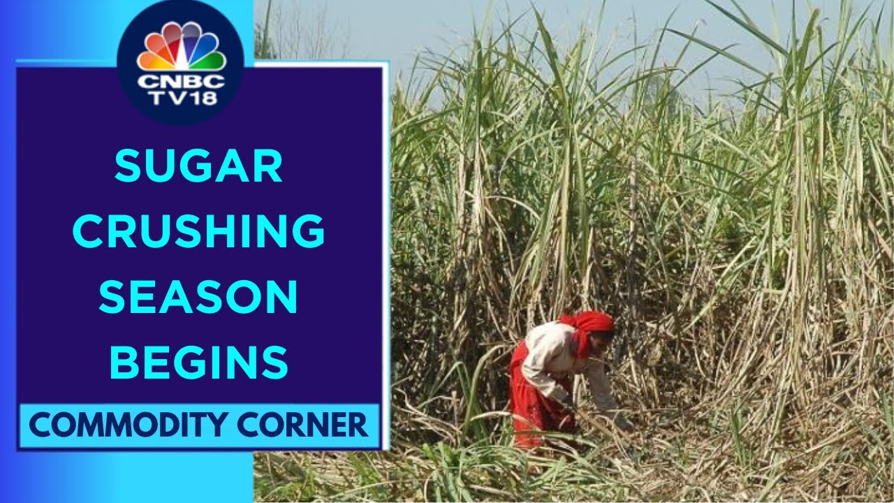 Will Have A Clear View On Sugar Output In 2 Months As We See Yields: ISMA | CNBC TV18