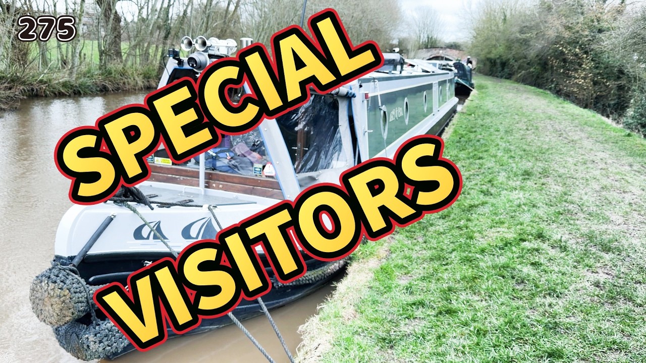 275 особых гостей | #ЖизньНаКораблеЭмиДжо