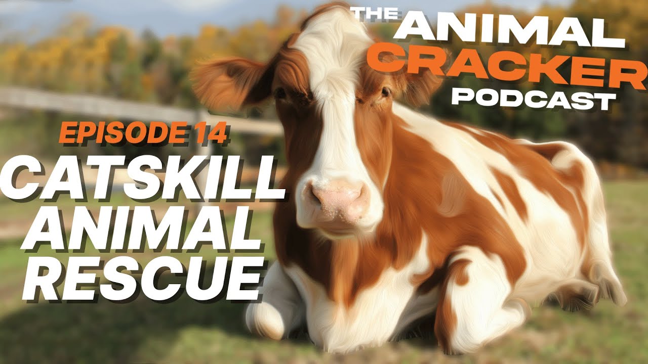 The Animal Cracker Podcast  /// Catskill Animal Sanctuary  ///  EP. 14
