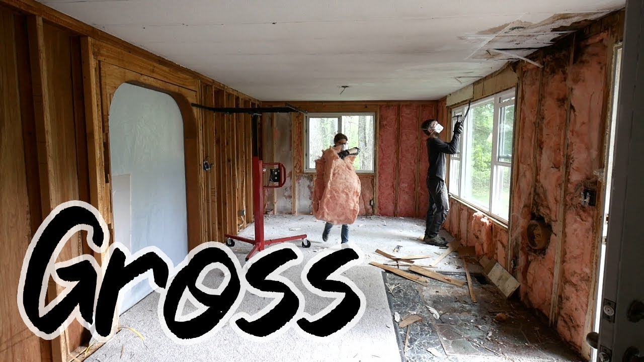 Tearing Out our Nasty Living Room - Home Renovation