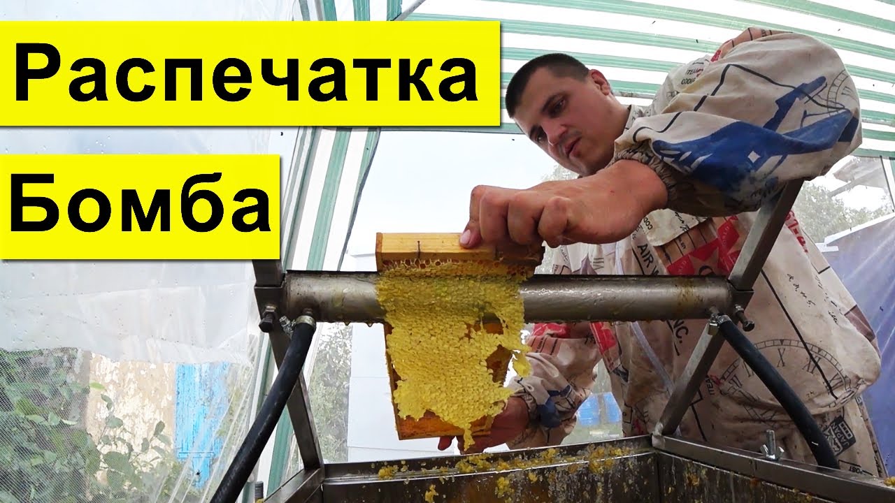 Распечатка Сотов бомба ✅ Откачка меда 2020 🍯