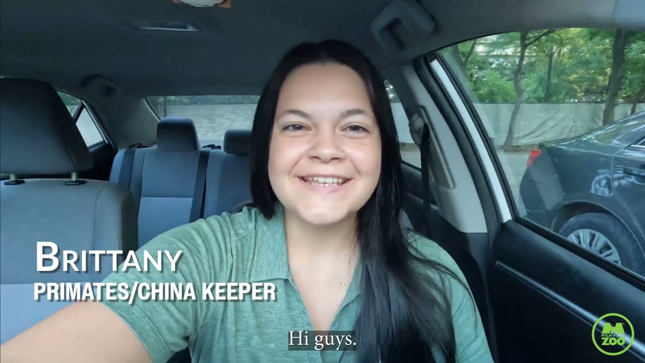 Behind the Scenes: A Day with Zoo Keeper Brittany