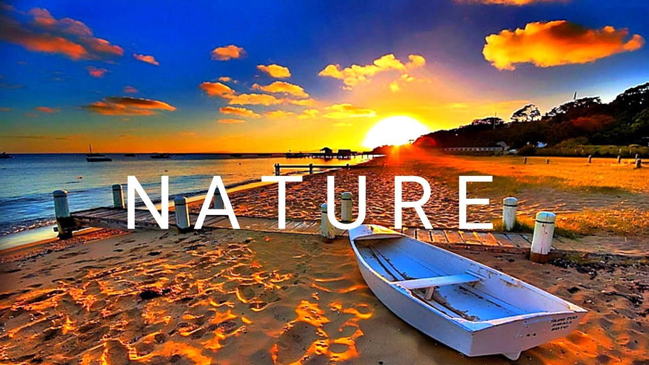 Beautiful Relaxing Music For Stress Relief, Nature Sounds, Relax Music, Sleep,Calm, Soft Relaxing