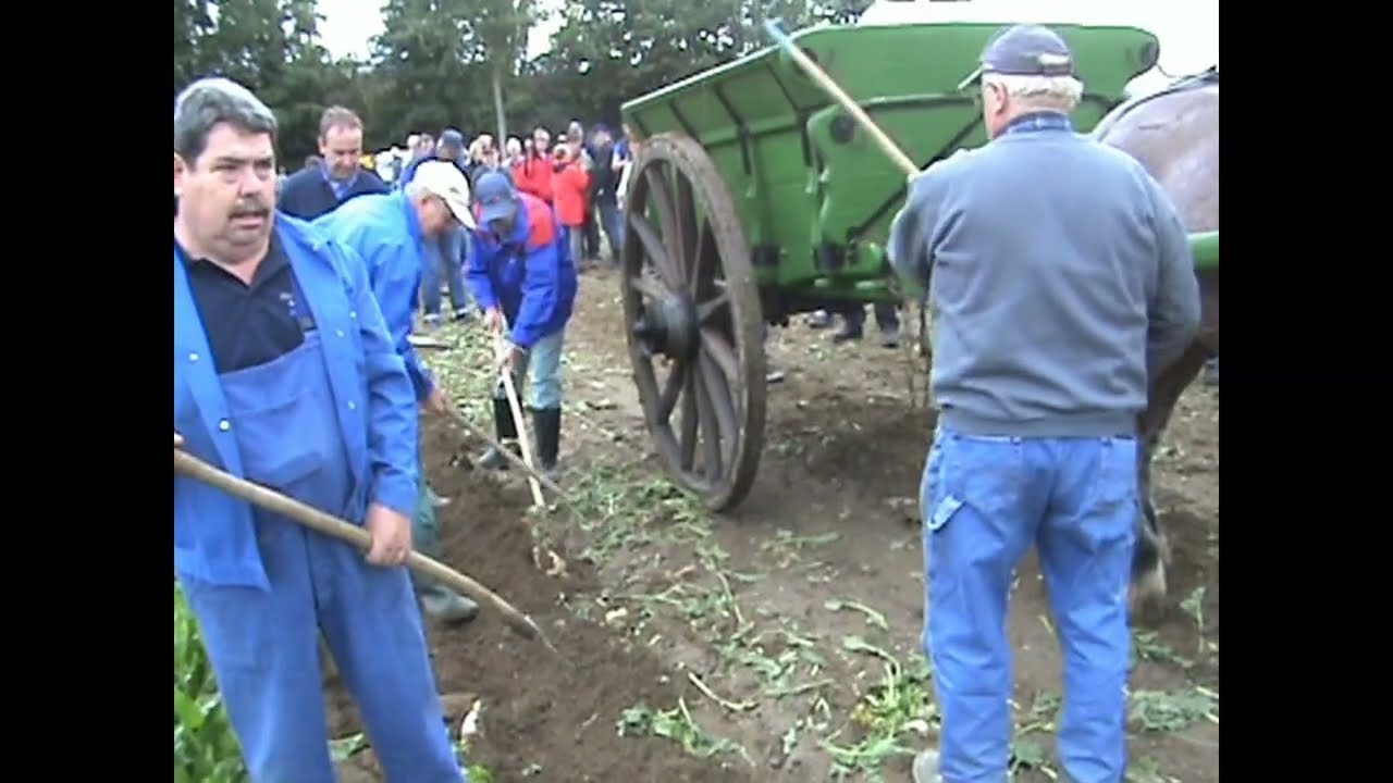 VINTAGE SUGAR BEET HARVESTING