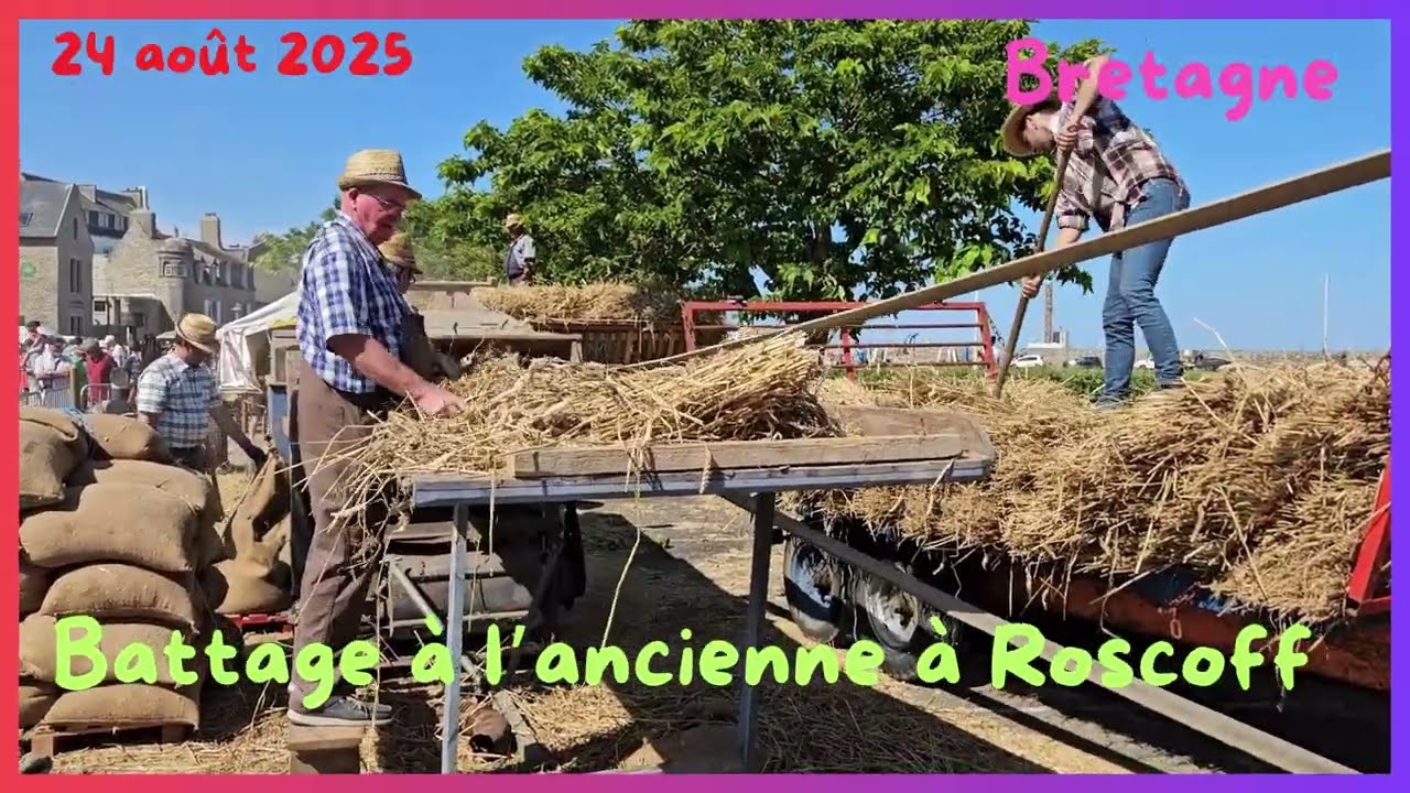 Battage à l’ancienne à Roscoff avec les Tads Koz et la locomobile à vapeur