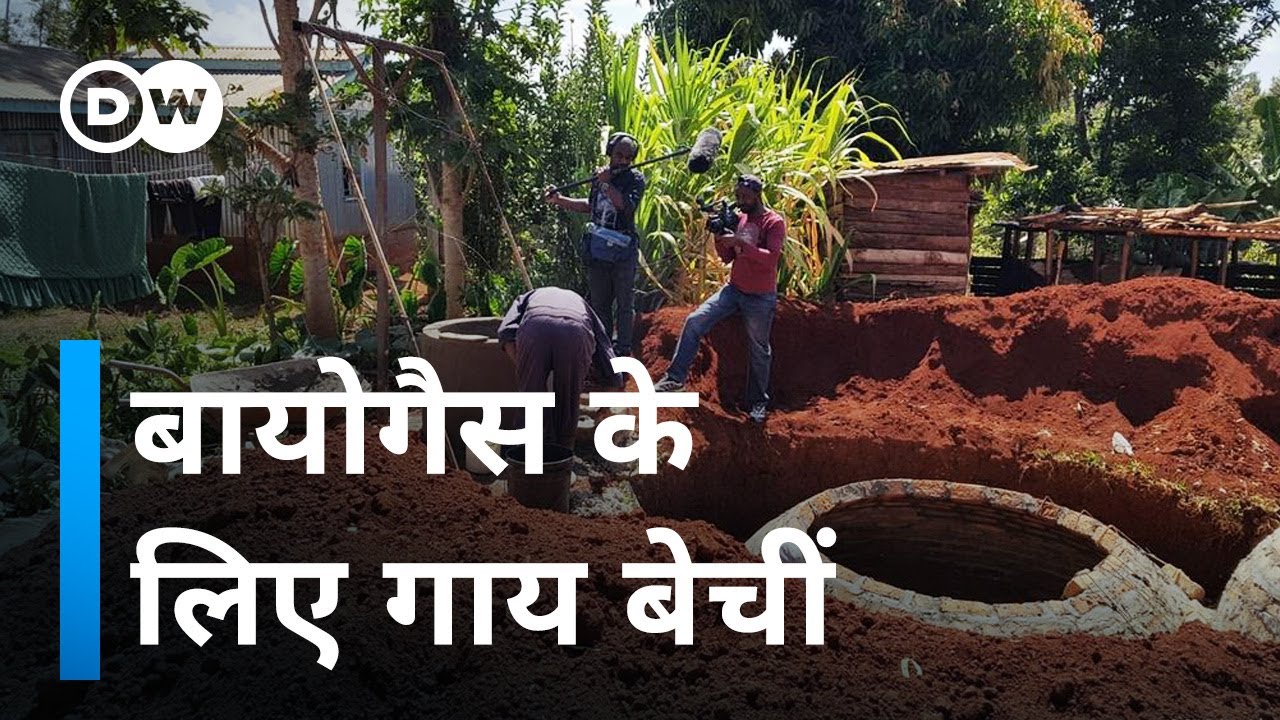 कितना काम आया गायें बेचकर बायोगैस प्लांट लगवाना [Kenya: Switching to biogas]