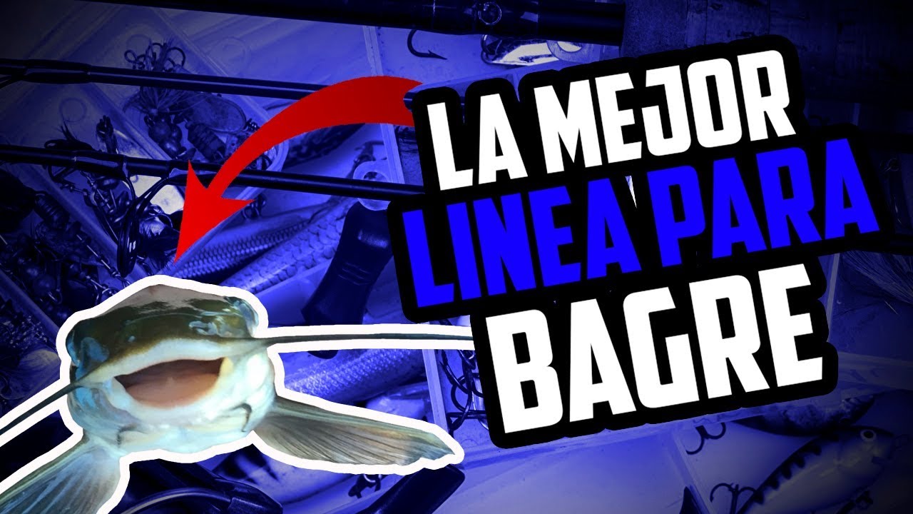 🔴TUTORIAL:LINEA DE BAGRE BARATA Y EFECTIVA