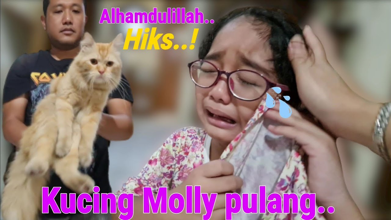 Kisah Hanum: Haru Bahagia Karena Kucing Molly Pulang Setelah Lama Hilang - Hanum Diary