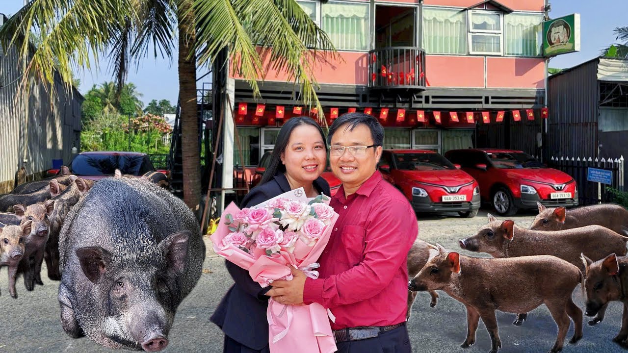 Nuôi heo rừng lai vốn bao nhiêu là đủ?
