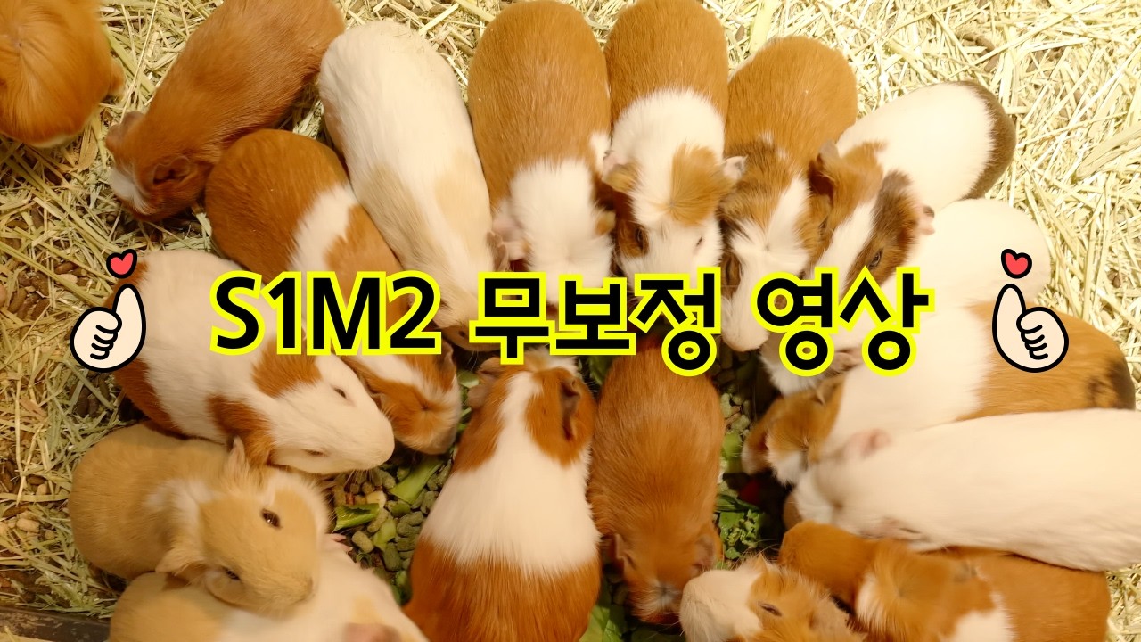 [경기 가평 '신비동물원'] 루믹스 s1m2로 촬영한 무보정 영상