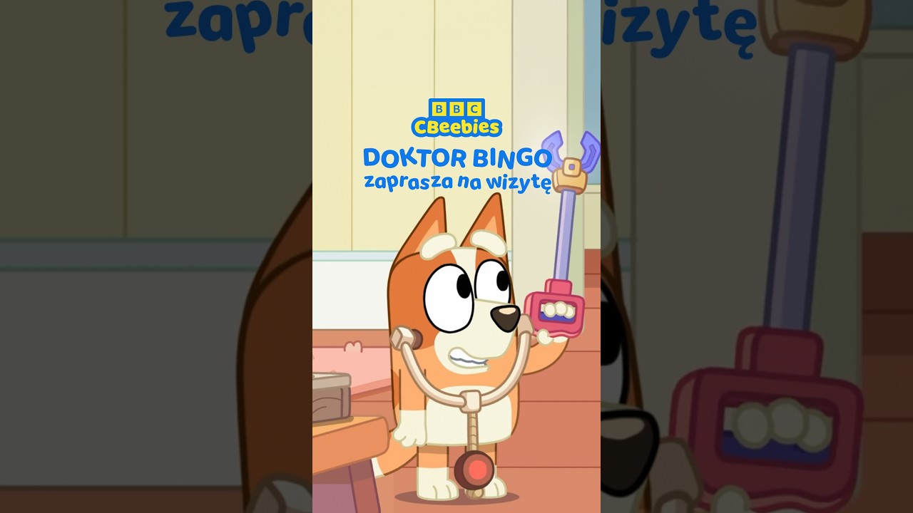 Oglądaj przygody Blue i Bingo w CBeebies! #bajki #bluey #dladzieci #tv #cbeebies