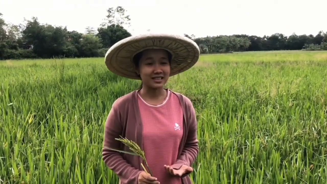 RA 6969 (Deguilmo et al.)