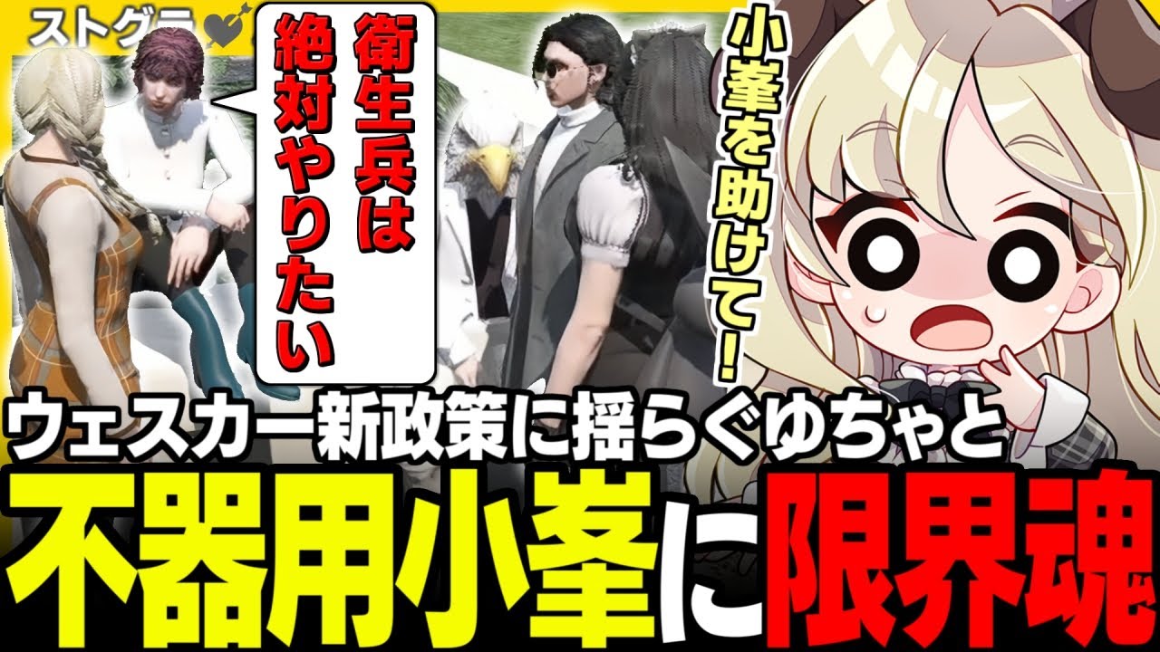 【
