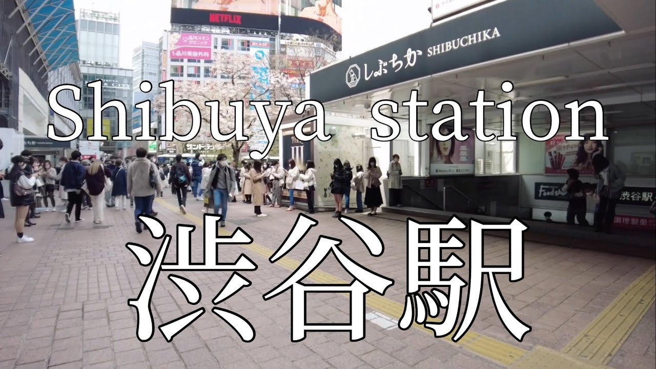 Take a walk around Shibuya station/渋谷駅周辺を散歩