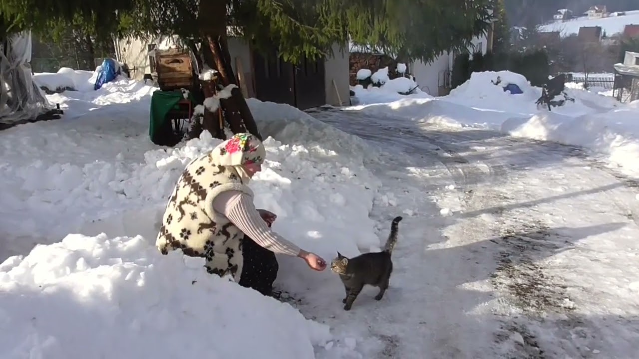 Život na vidieku  topenie slaniny