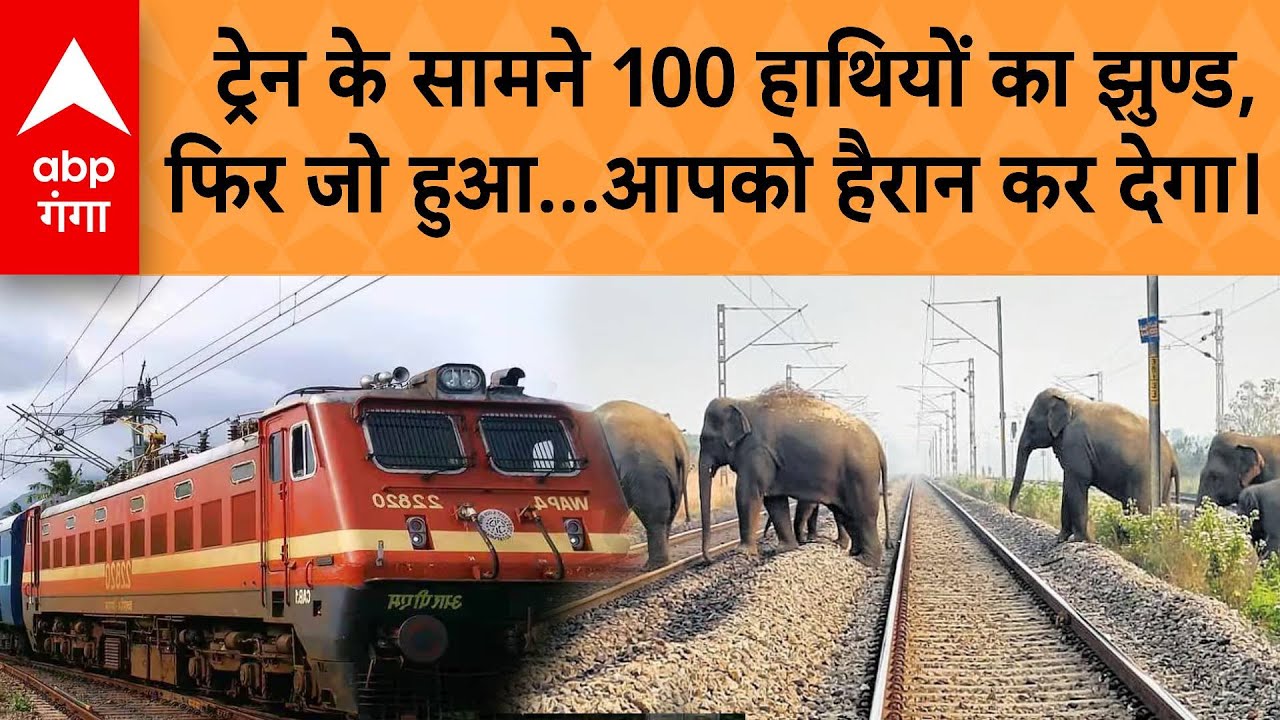 Assam Train Accident : ट्रेन के सामने 100 हाथियों का झुण्ड,फिर जो हुआ... आपको हैरान कर देगा।