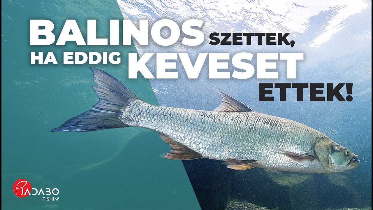 Jadabo pergető szett: prémium balinos parti műcsali válogatás