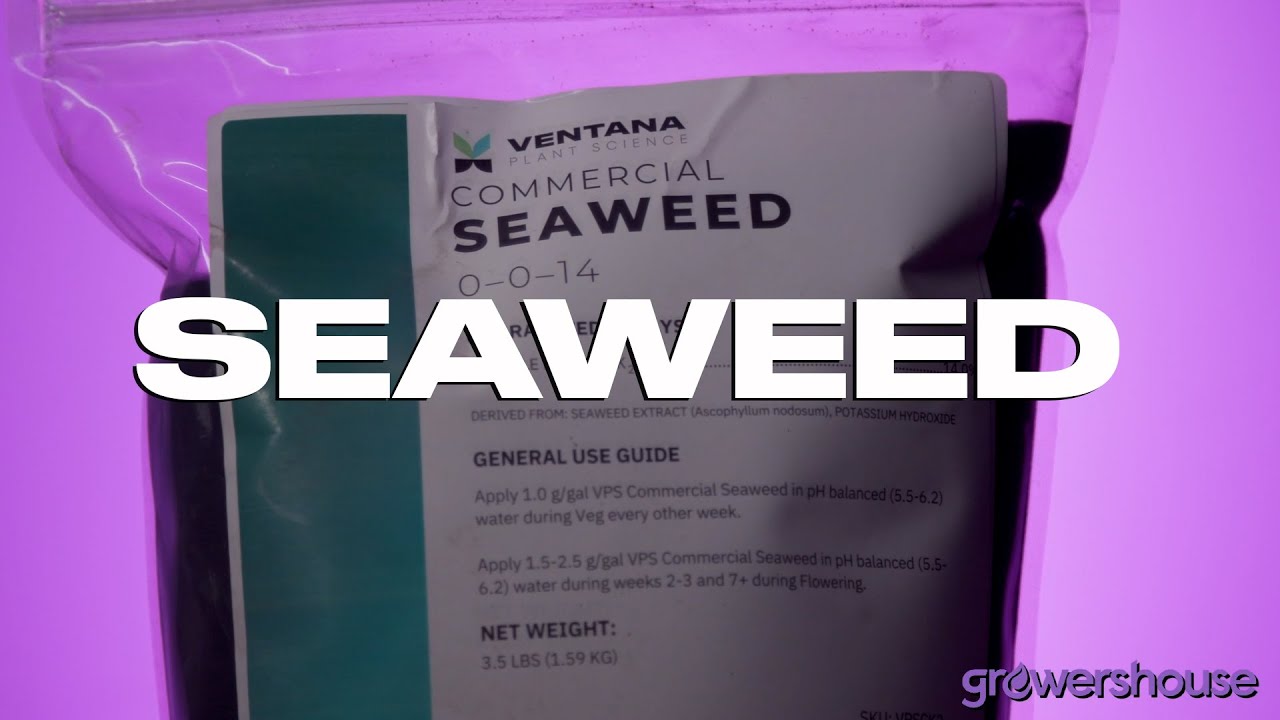 Ventana Plant Science Commercial Seaweed