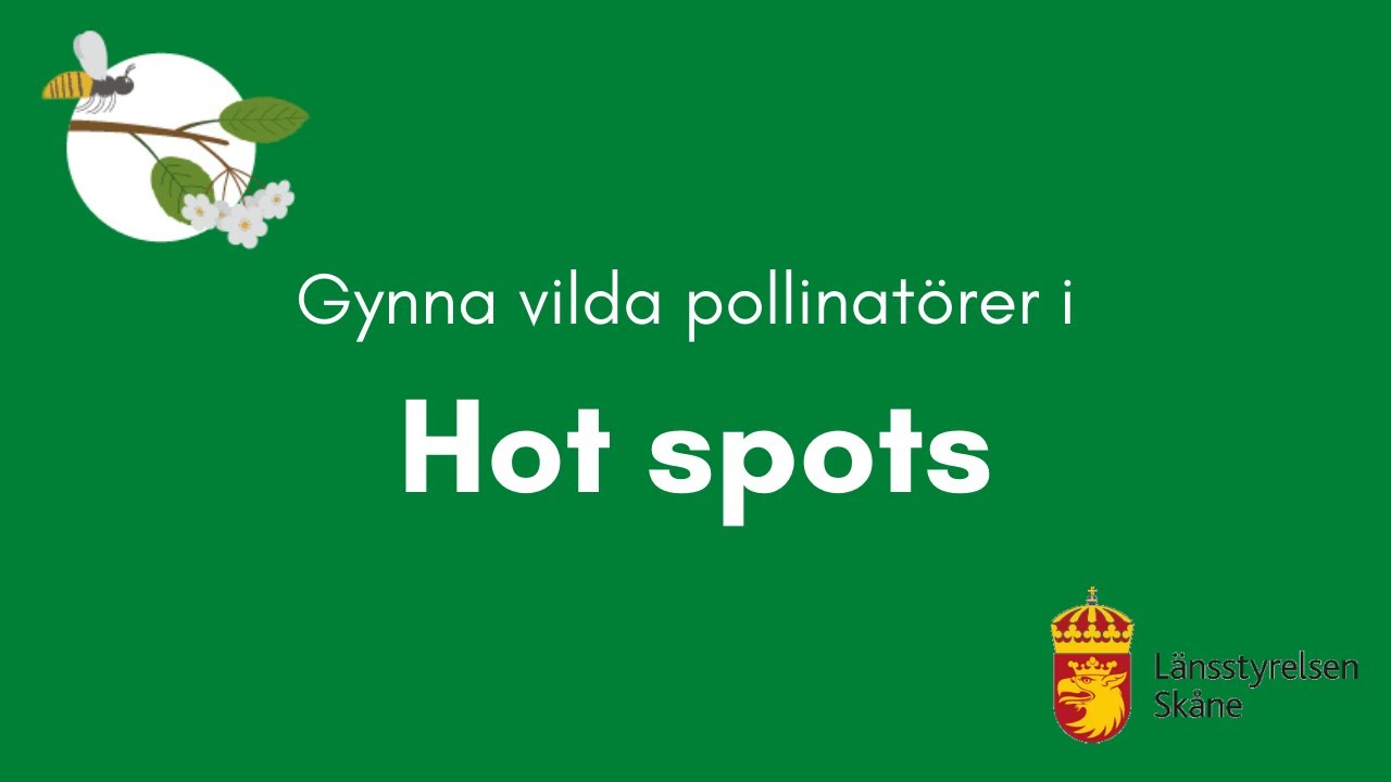 Gynna vilda pollinat&ouml;rer i hot spots