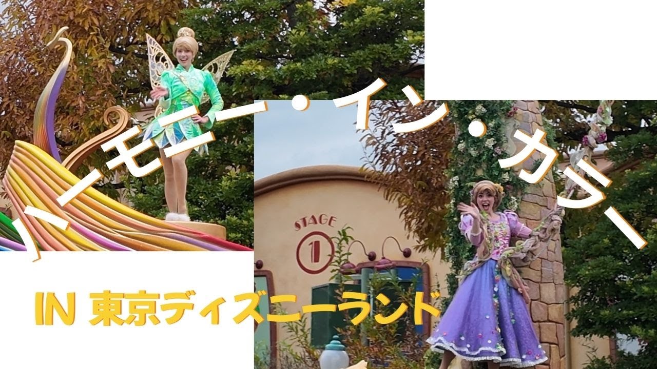2025.11.27 ディズニー・ハーモニー・イン・カラー
