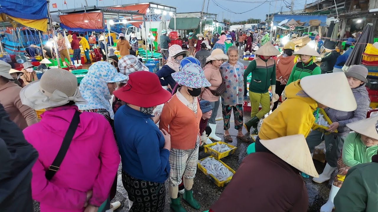 Lần Đầu Gặp Cá Cờ Đại Dương 150kg ở Cảng Cá Đông Hải Phan Rang • Kiều Công Tử 