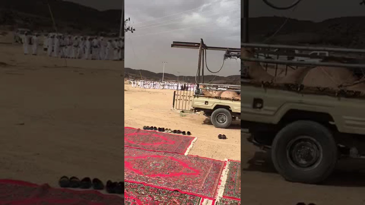اقباله ال مطلق واعتذارهم ورفع البيضاء لمسفر بن عويج وربعه ال العرجاء عن اتهامهم ان مسفر خوي لدواسر