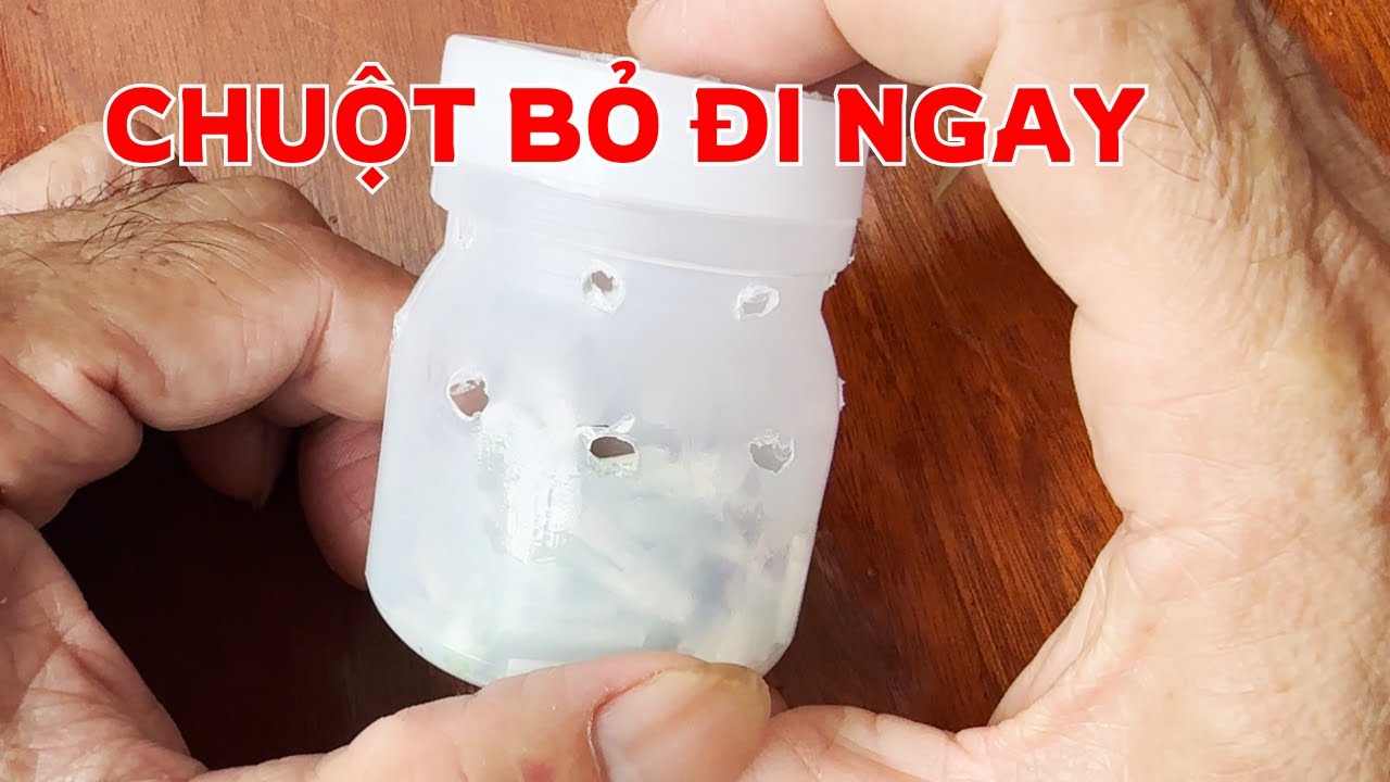 Cách Đuổi CHUỘT Đi Khỏi Nhà, Làm Ngay Cách Này Chuột Rất Sợ  | Tóp 10 Sáng Tạo