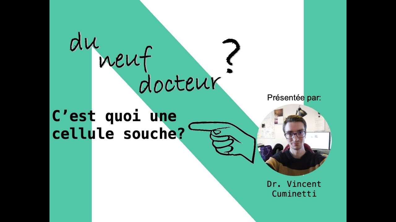 Docteur Vincent Cuminetti : C'est quoi une cellule souche ?
