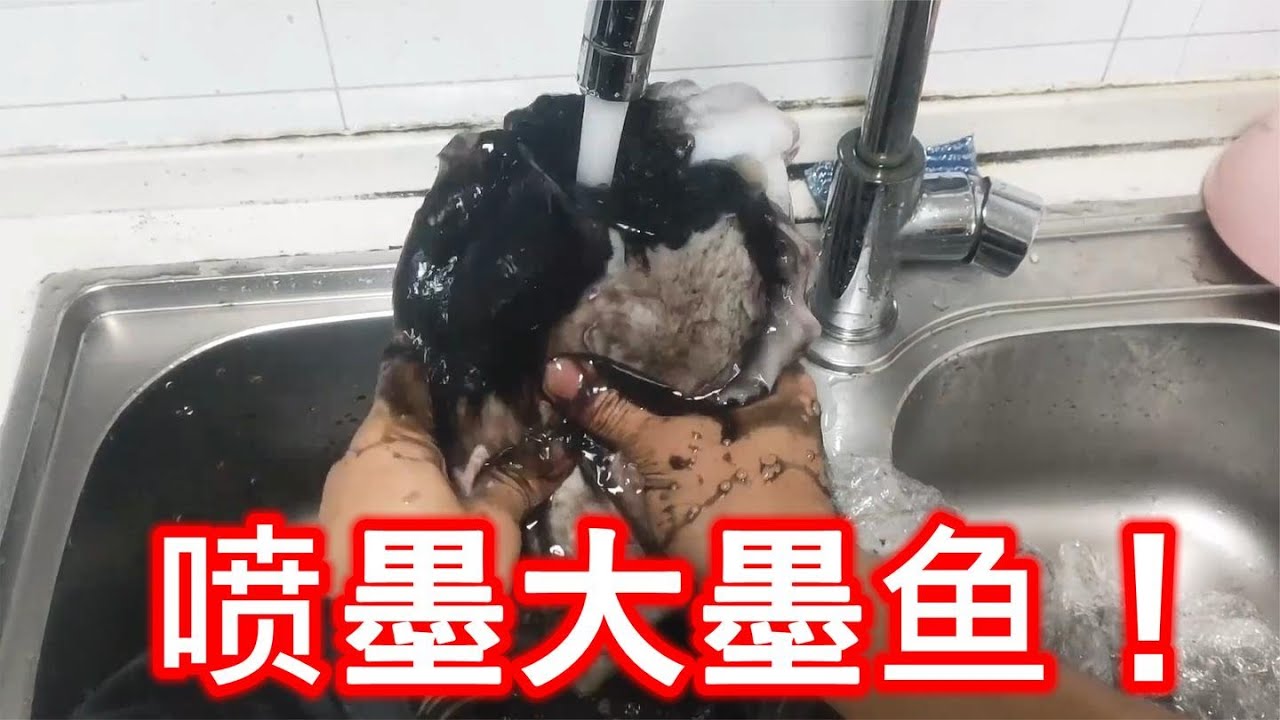 比脸还大的3斤墨鱼，光墨水就喷1斤，油炸起来&ldquo;火花四溅&rdquo;！
