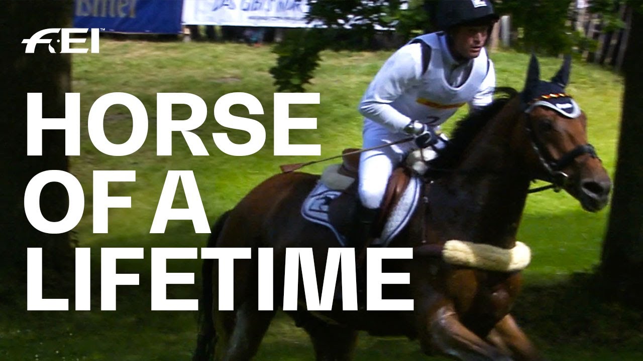 Michael Jung's Sam - Olympic Champion, Eventing Legend, and a good Friend | Horse of a Lifetime