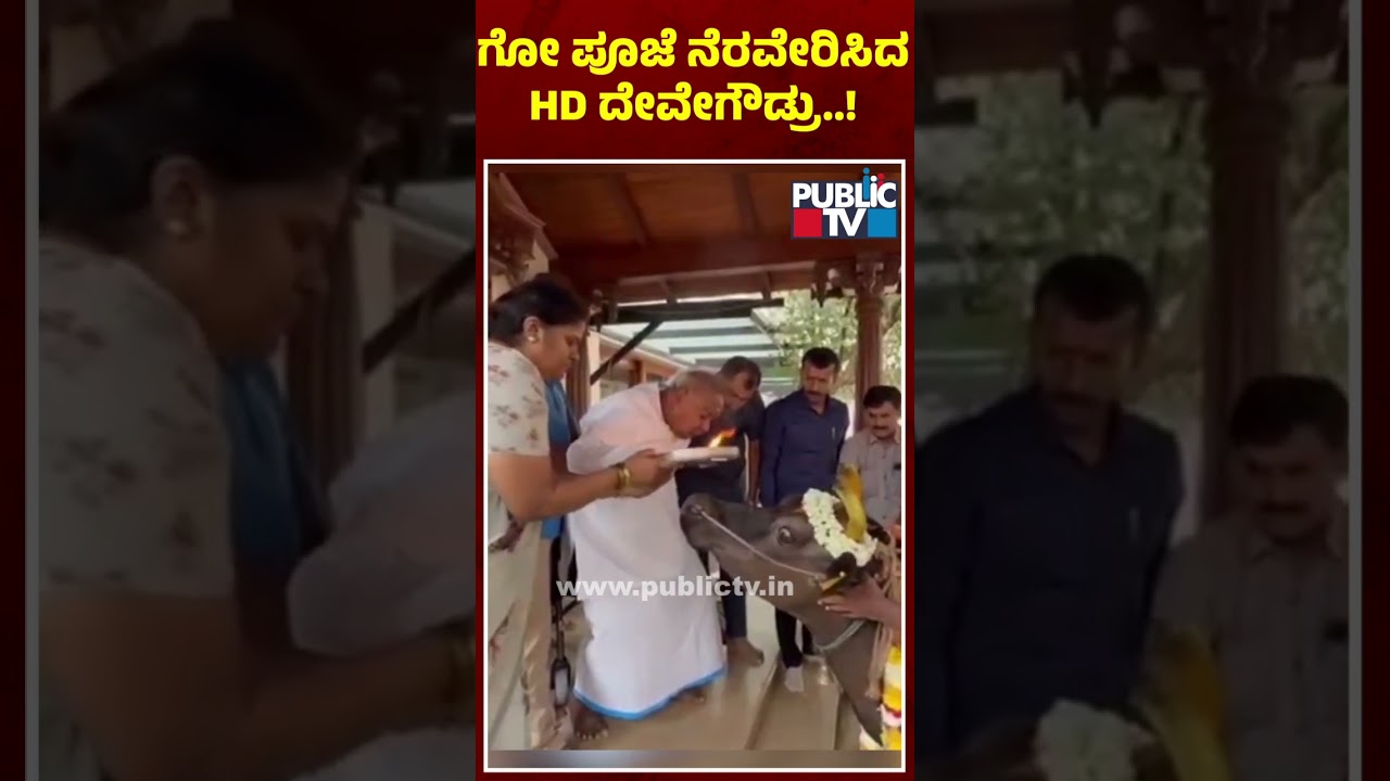 HD Devegowda исполняет поклонение коровам | HD Devegowda | Общественное телевидение