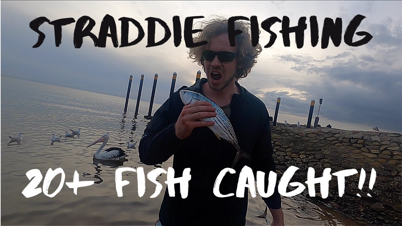 NORTH STRADBROKE ISLAND | Crazy Bonito Fishing!!! (20+ fish caught)