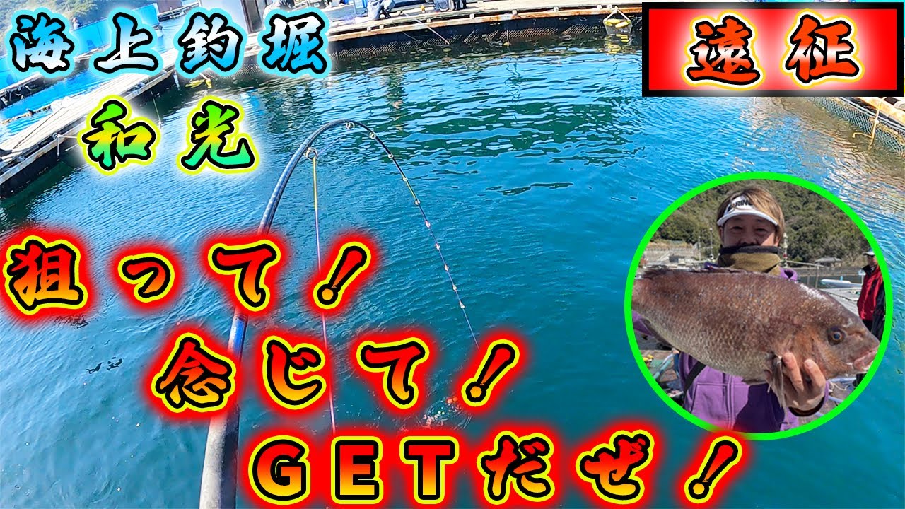【海上釣堀】「和光」見事な大鯛！そらカップラーメン伸びます伸びます
