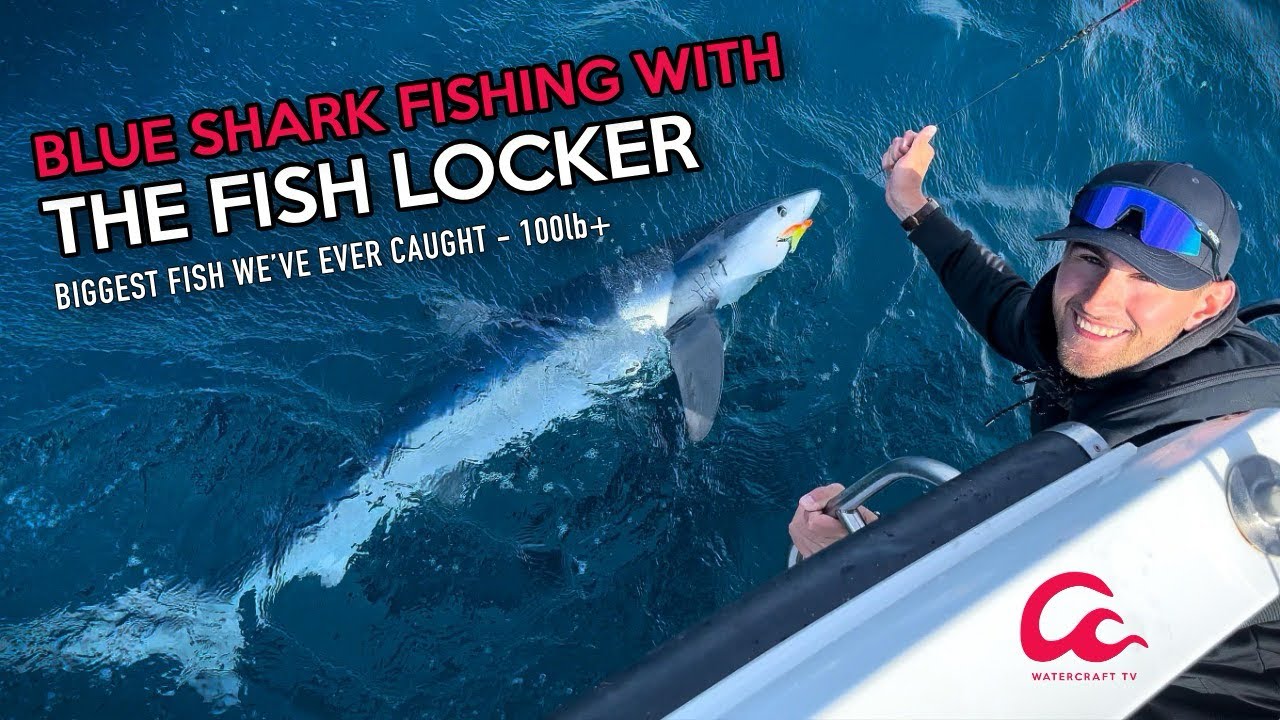UK Sharks!!! Blue Shark Fishing with The Fish Locker - Massive 100lb+ Sharks!