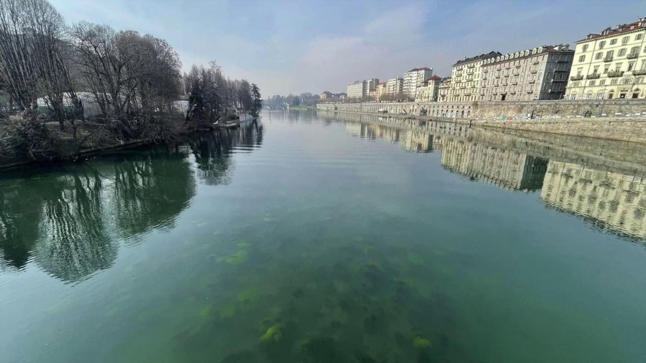 Perché in questi giorni nel Po ci sono alghe e schiuma? Ve lo raccontiamo