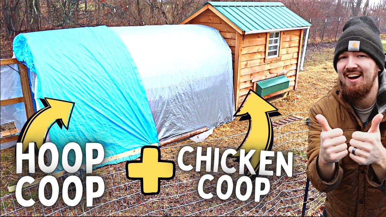 ULTIMATE WINTER Chicken Coop for COLD Weather and SNOW