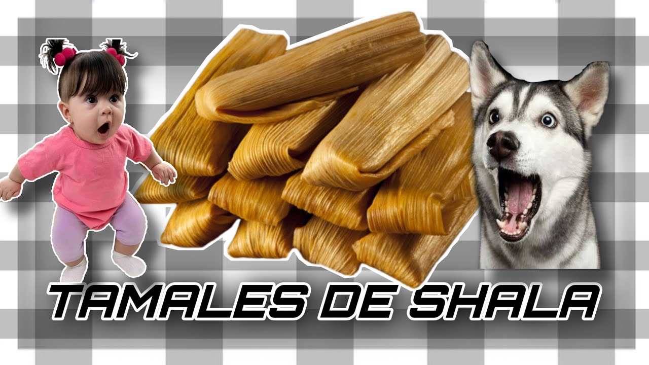 PECULIARES TAMALES DE SHALA o XALA / San Agustin Metzquititlan / Hidalgo / Don Erre Vlog
